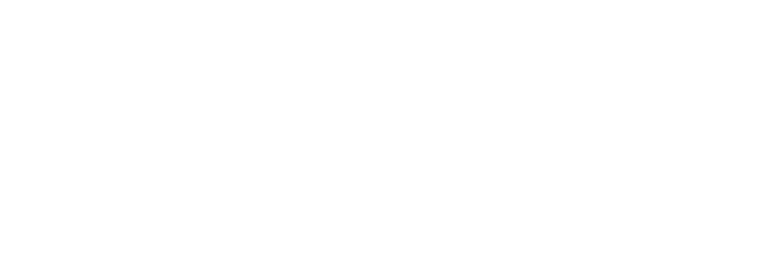 Silanna_Logo_RGB_White_new
